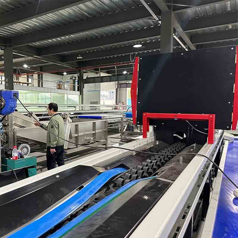 images/1716193024757tomato optical grading equipment.jpg